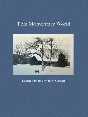 cover image of This Momentary World